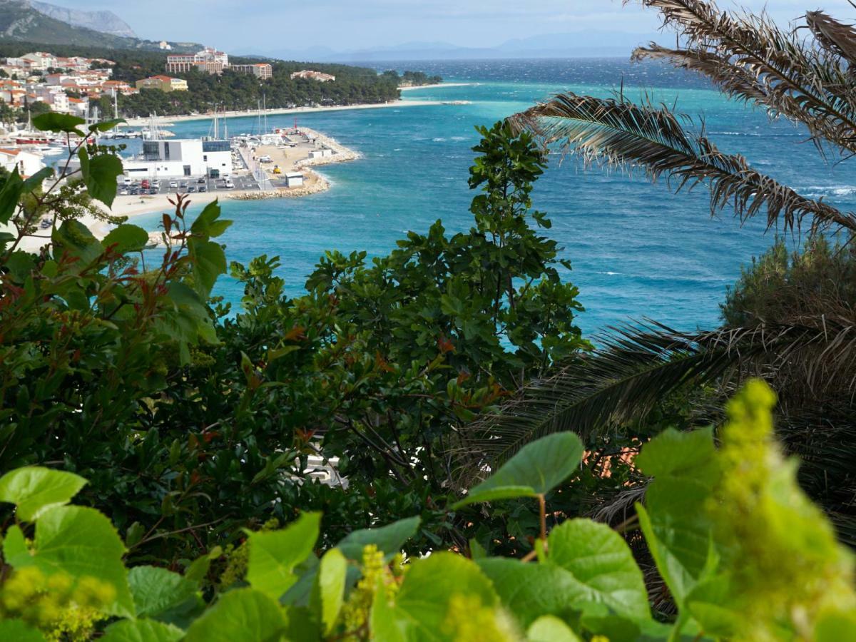 Apartments Feral Baška Voda Dış mekan fotoğraf